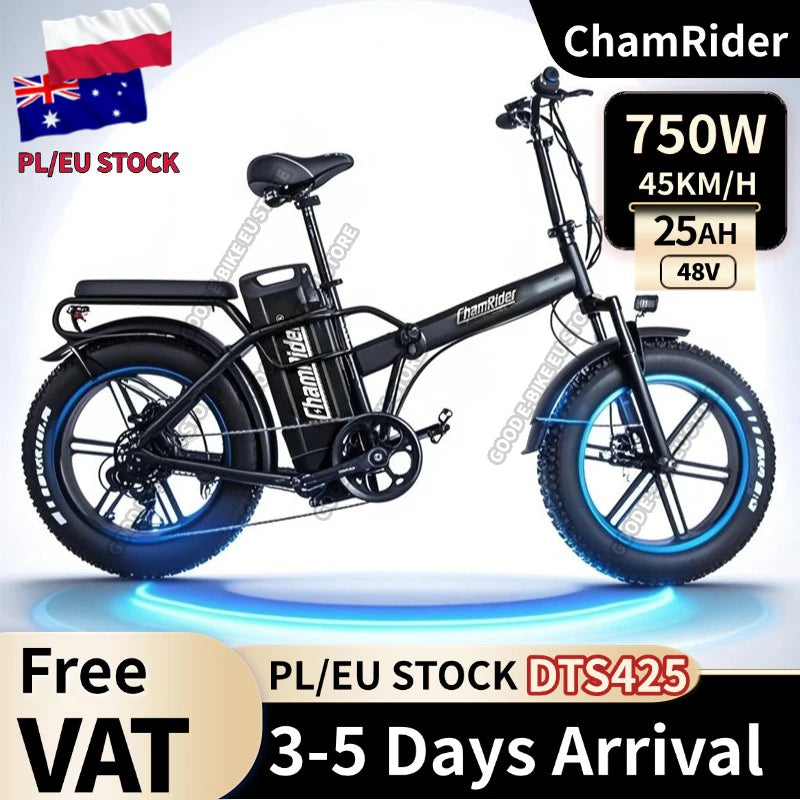 ChamRider DTS425 Ebike 48V25AH Battery 125KM Range 750W Power Best Value Choice for European Food Delivery Riders Electric Bike