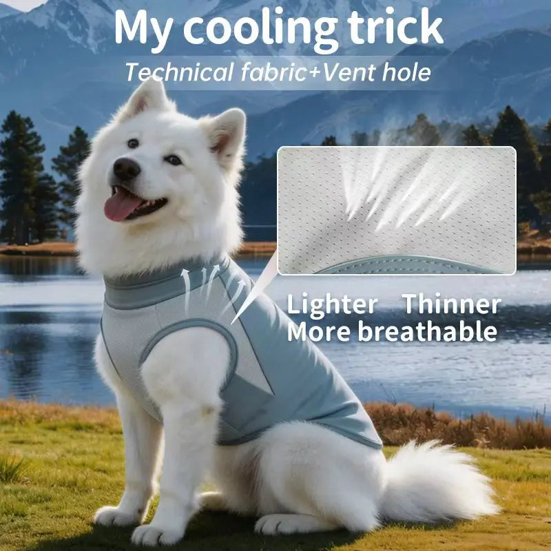 Dog Cooling Clothes Vest UV Sun Protection Breathable Mesh Ice Jacket, Small Medium Large Dogs, Adjustable for Outdoor Walk