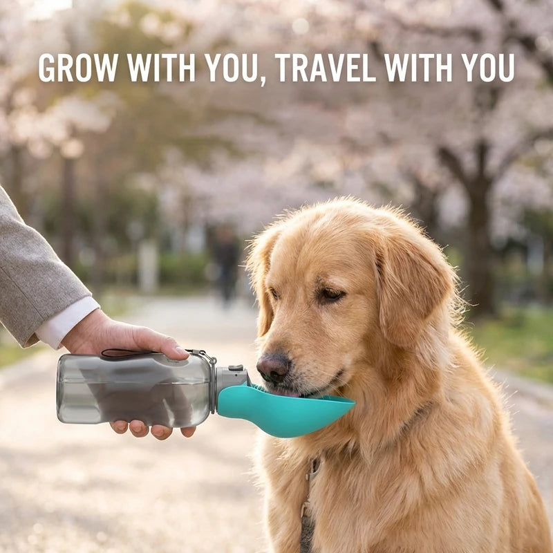 Foldable Large Pet Water Bottle 800ml Leakproof Portable Water Dispenser for Small Dogs Cats Outdoor Walking Puppy Drinking Bowl