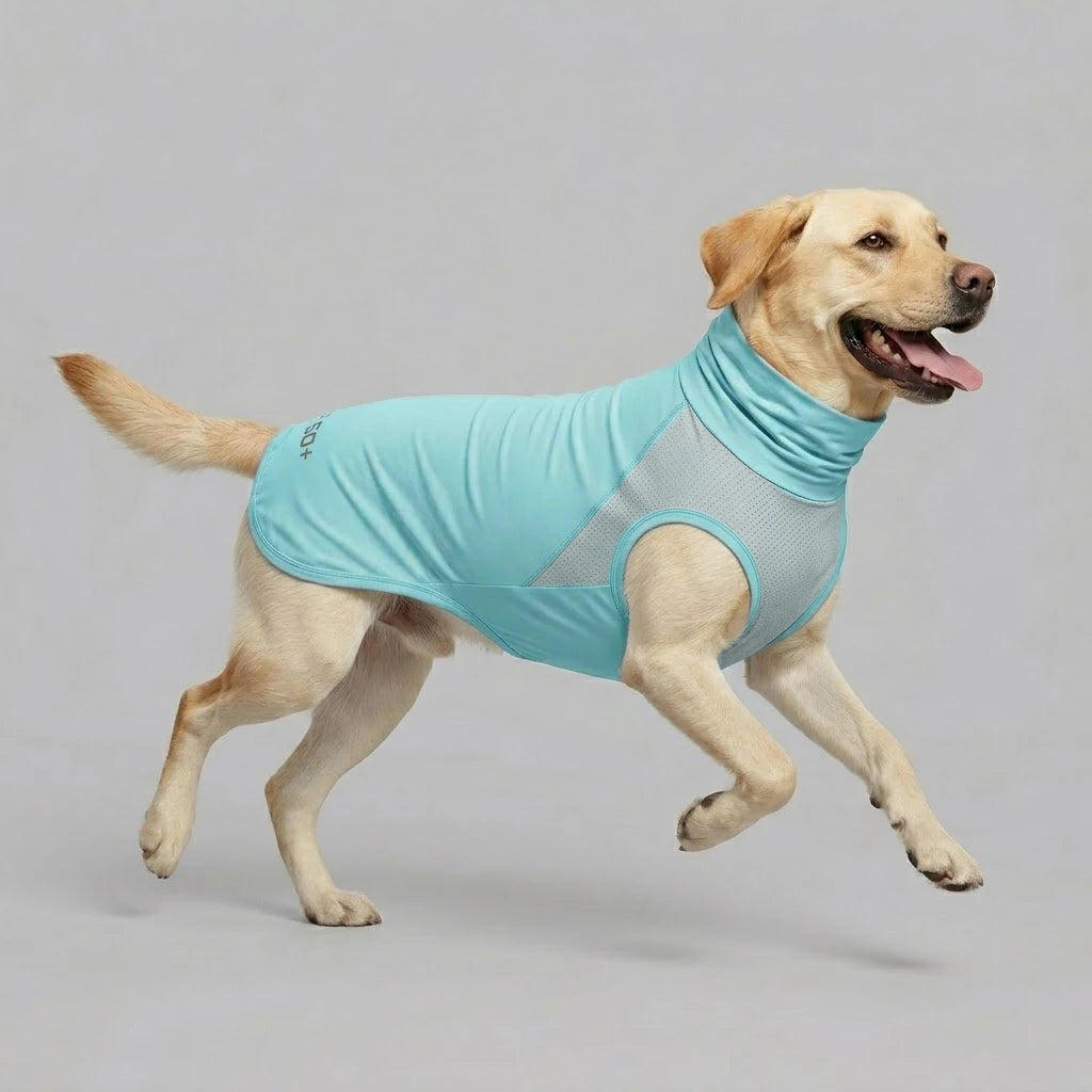 Dog Cooling Clothes Vest UV Sun Protection Breathable Mesh Ice Jacket, Small Medium Large Dogs, Adjustable for Outdoor Walk