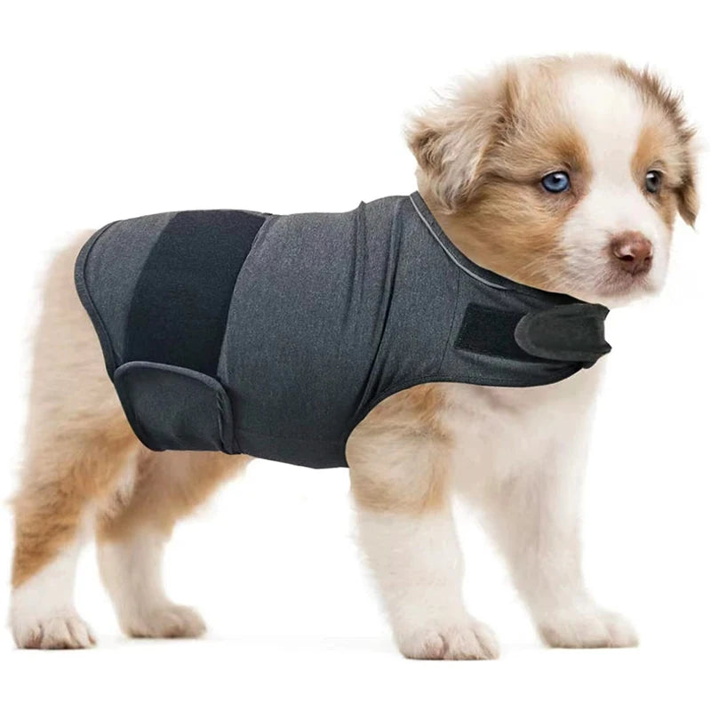 Dog Anxiety Vest Breathable Dog Stress Relieving Dog Lightning Protection Jacket for Anti Anxiety Vest Keeps Pets Calm