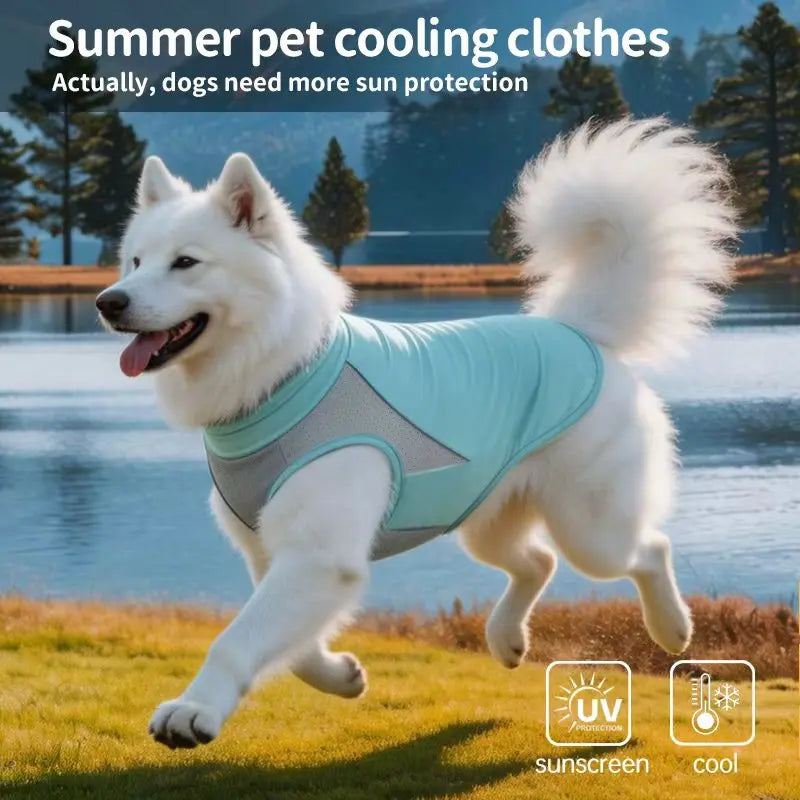 Dog Cooling Clothes Vest UV Sun Protection Breathable Mesh Ice Jacket, Small Medium Large Dogs, Adjustable for Outdoor Walk