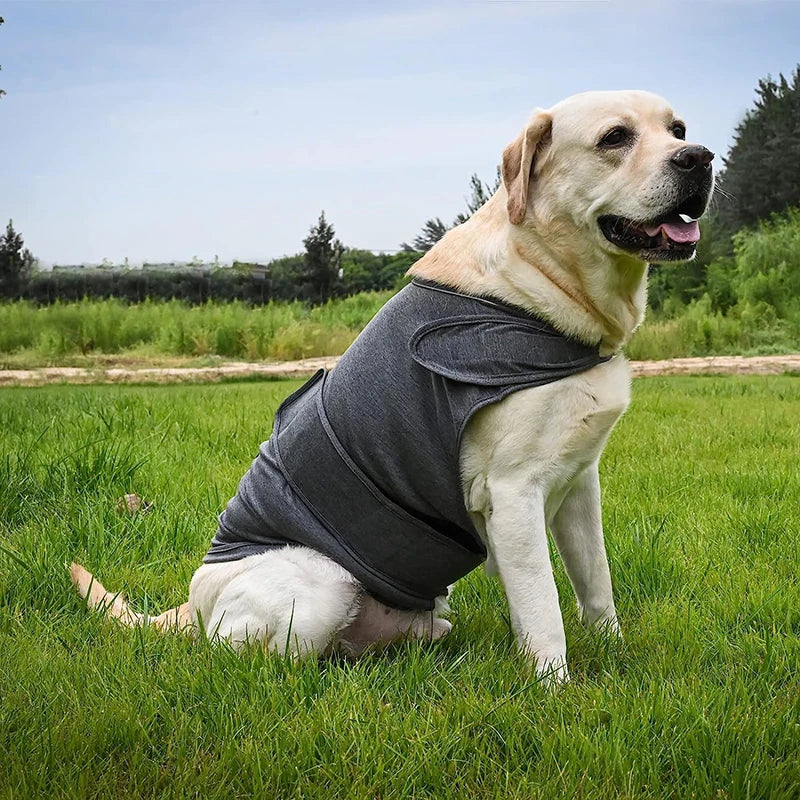 Dog Anxiety Vest Breathable Dog Stress Relieving Dog Lightning Protection Jacket for Anti Anxiety Vest Keeps Pets Calm