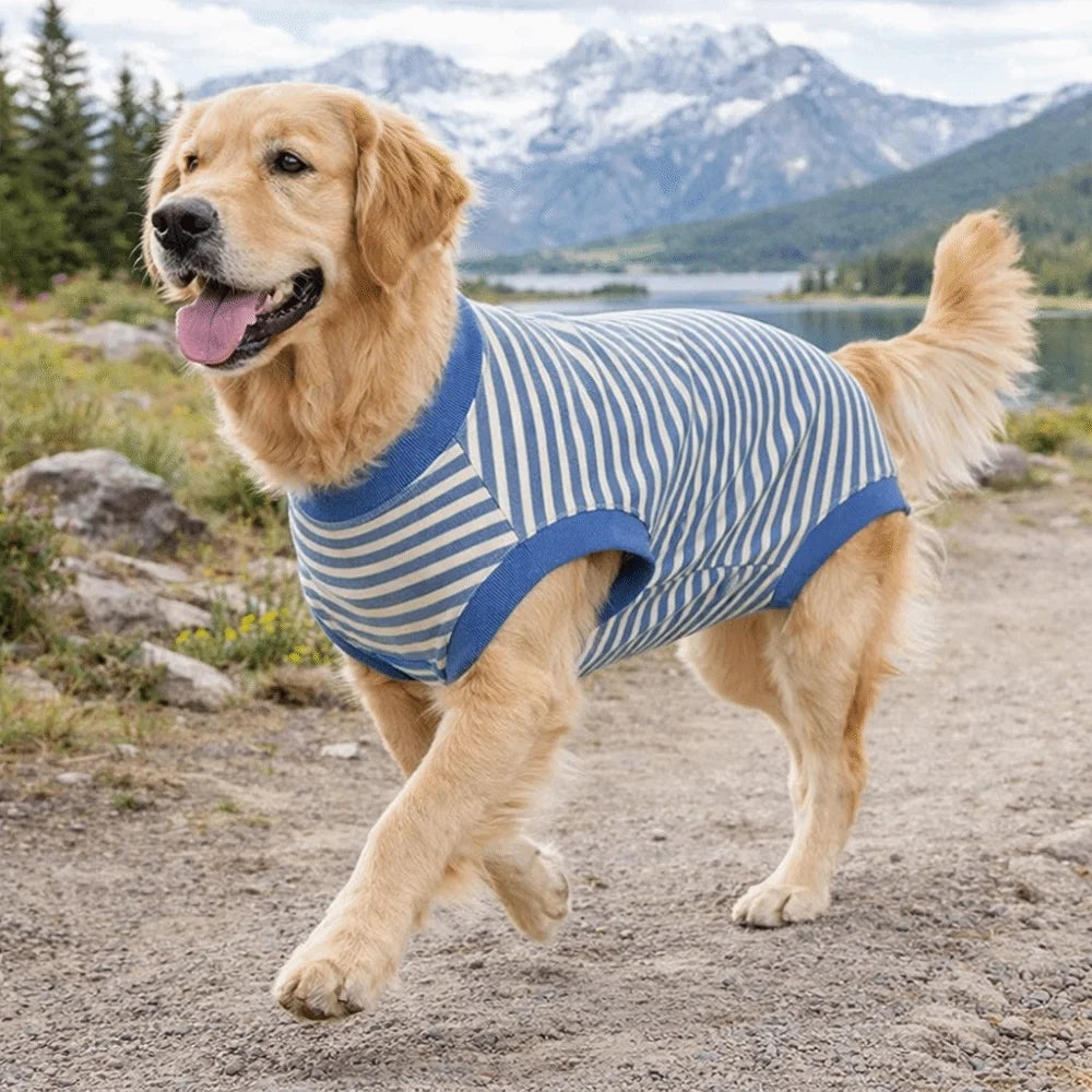 Dog Bodysuit Striped Dog Sterilization Suit Washable Warm Dog Recovery Clothes Comfortable Dog Four Legged Vest Weaning Period